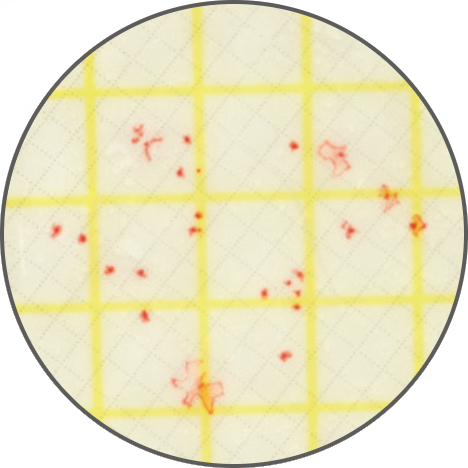 Тест-пластины Petrifilm Aqua для подсчета гетеротрофных микроорганизмов